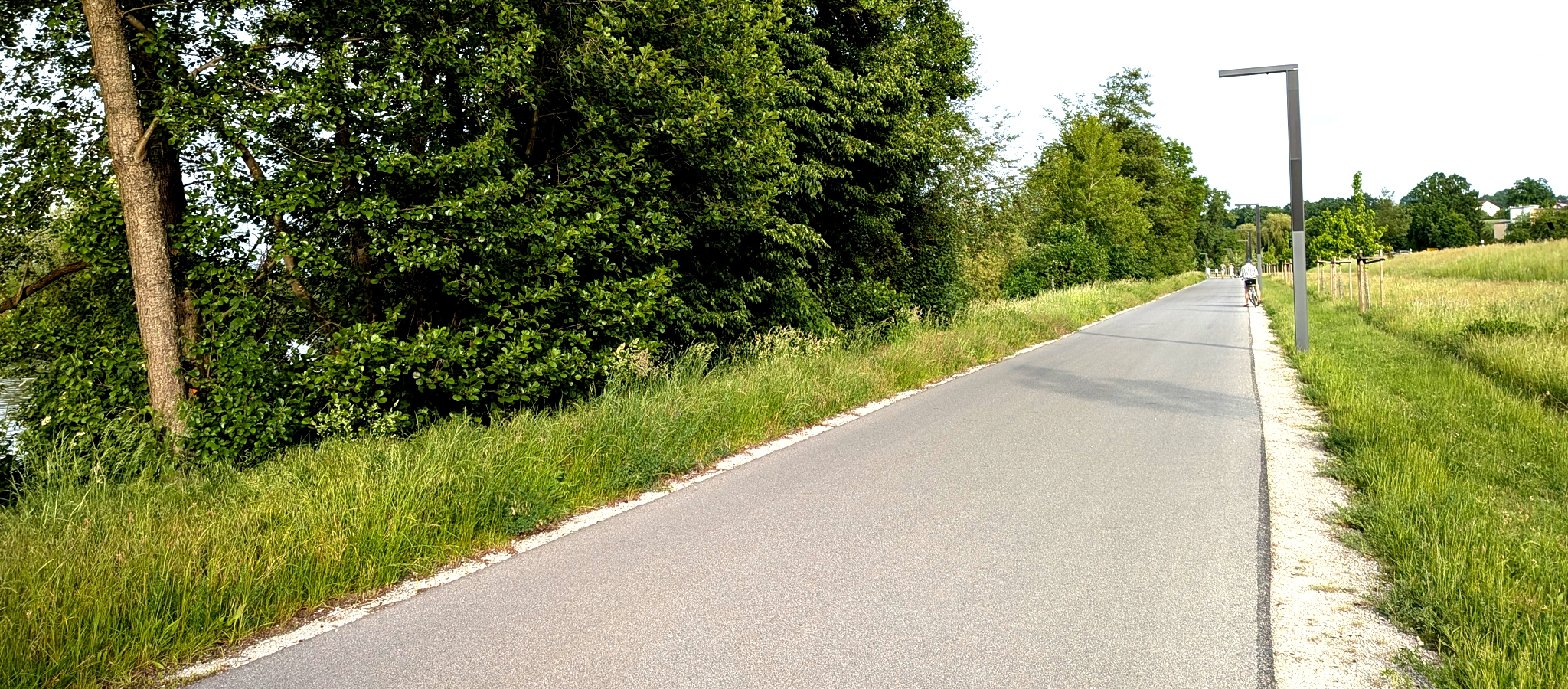Radweg entlang der Regnitz